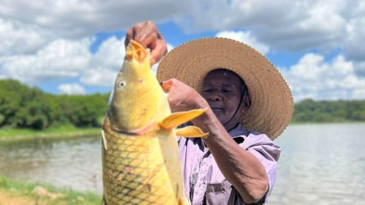 Carpa foi pescada na Lagoa da Pampulha, que não é própria para a atividade