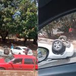Carro capota e causa congestionamento no Anel Rodoviário, em BH