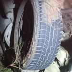 Motorista tenta desviar de animal, bate em barranco e capota na MGC-135, no interior de Minas  