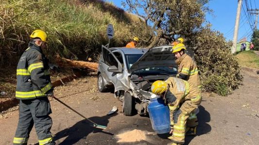 Carro desceu encosta após bater em árvore