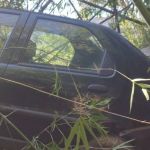 Mulher passa mal ao volante, desce ribanceira e é presa por dirigir sem CNH em Nova Serrana 