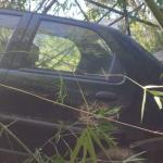 Mulher passa mal ao volante, desce ribanceira e é presa por dirigir sem CNH em Nova Serrana