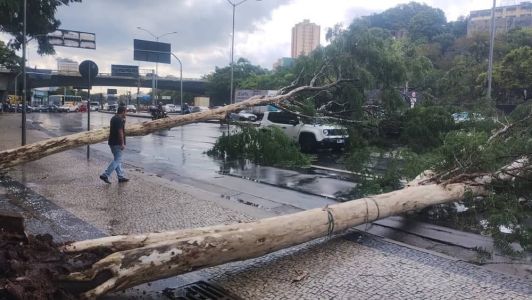 Carro ficou debaixo de duas árvores