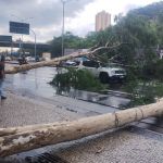 Chuvas: bombeiros atendem mais de 30 chamados nas últimas 24 horas em BH e região  
