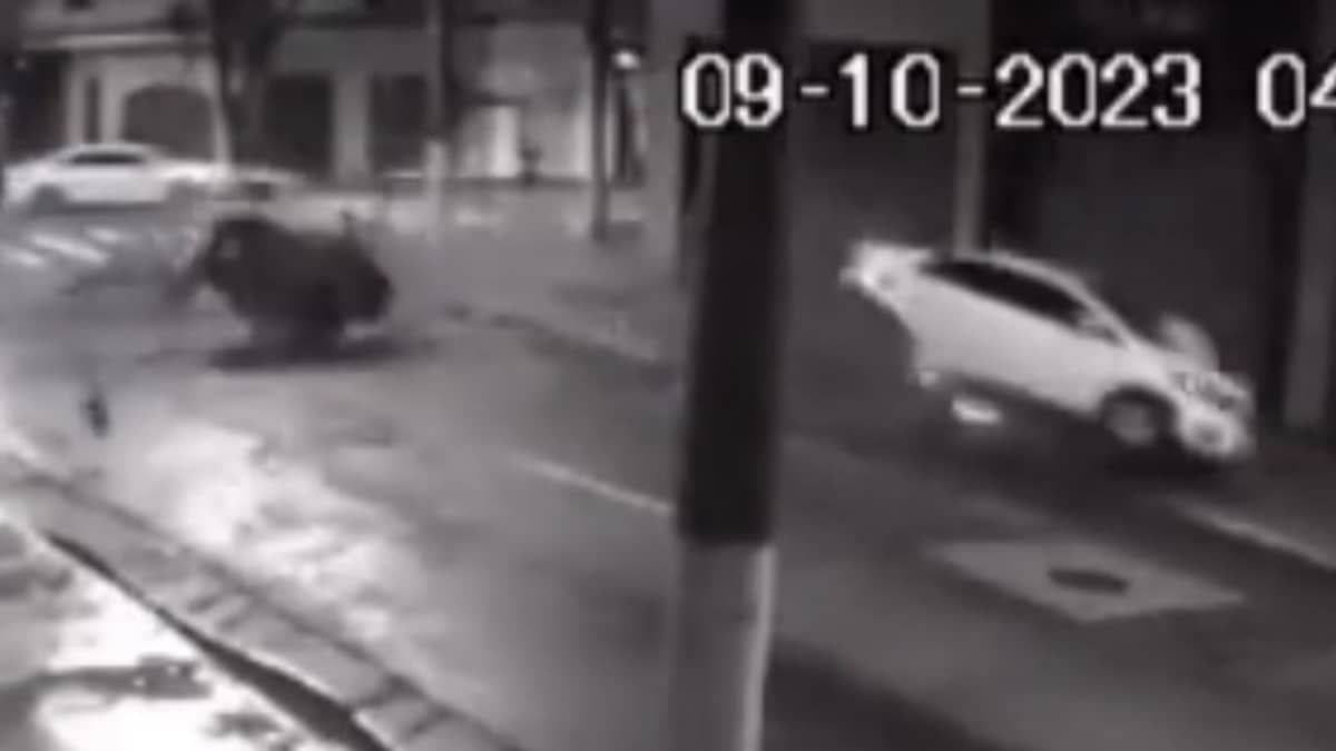 Vídeo: carro se parte ao meio após bater em poste no Brás, em SP; uma pessoa morreu
