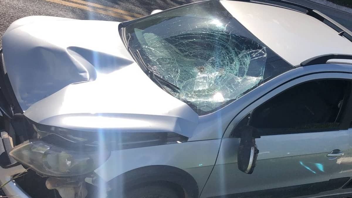 Homem tem traumatismo craniano, fratura exposta e cortes em todo o corpo após ser atropelado na MG-050  