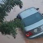 Vídeo: carro é levado pela enxurrada e homem se arrisca para salvar passageiros na Zona da Mata