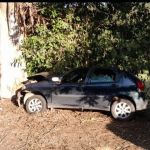 Idosa morre após carro bater em árvore na MG-133 em Rio Novo