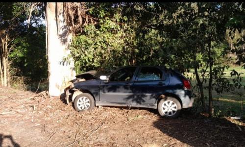 Carro saiu da pista e acertou árvore