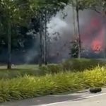 Vídeo: jato particular cai em rodovia, explode e mata 10 pessoas  