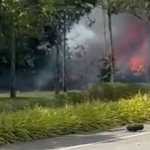 Vídeo: jato particular cai em rodovia, explode e mata 10 pessoas
