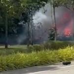 Vídeo: jato particular cai em rodovia, explode e mata 10 pessoas