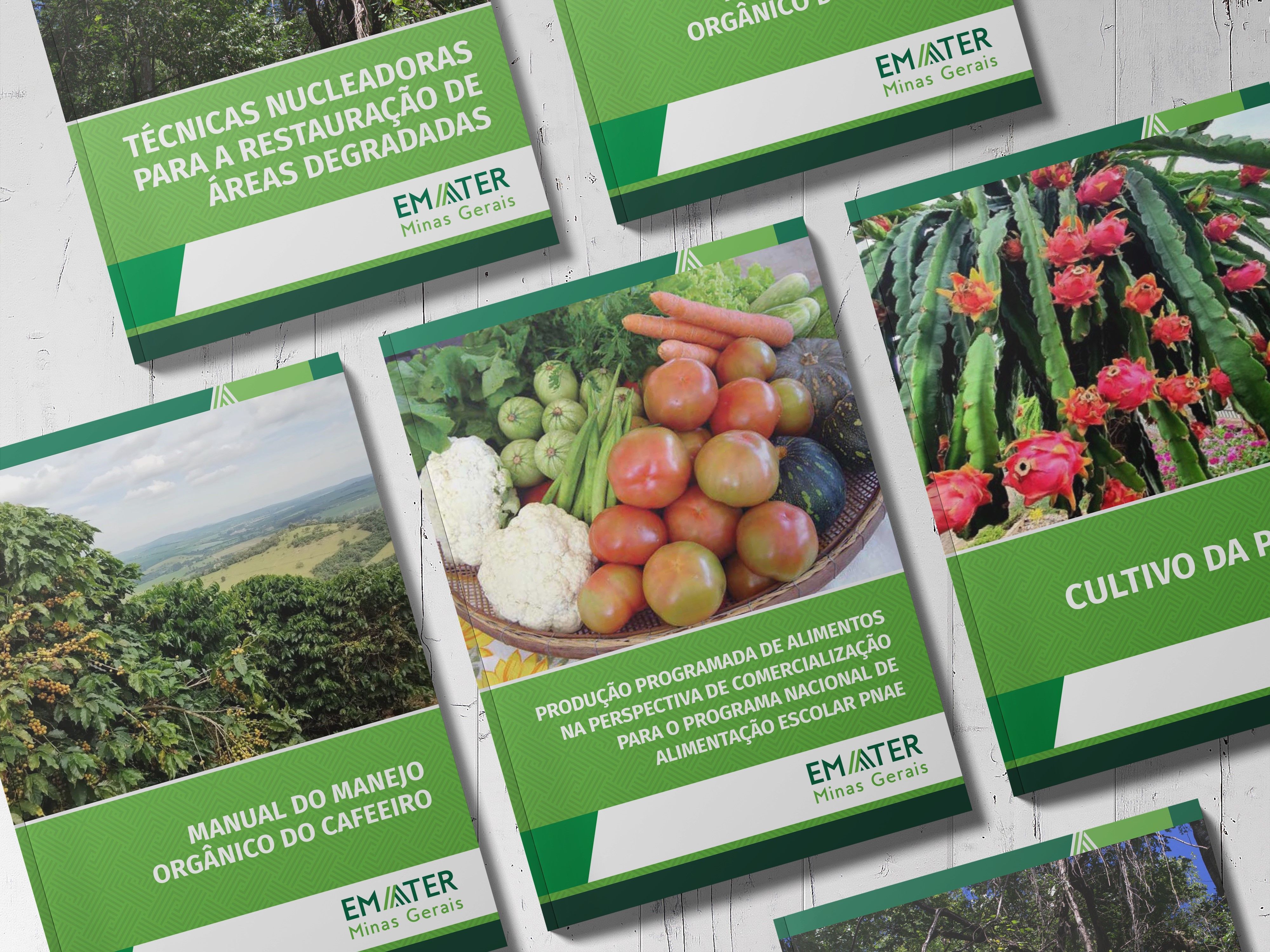 Emater-MG lança cartilhas virtuais gratuitas sobre café orgânico e produção de pitaya; saiba mais