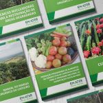 Emater-MG lança cartilhas virtuais gratuitas sobre café orgânico e produção de pitaya; saiba mais