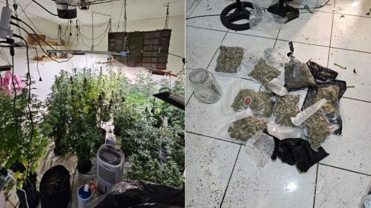 Casa Bomba Maconha SP
