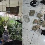 Polícia descobre 'sobrado da maconha' com climatizador e sistema de duto em SP