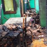 Polícia prende homem que ateou fogo na casa da ex, matou cão e feriu outros dois animais, no Serro