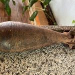 Casal encontra bomba enterrada enquanto pescava no interior de Minas; veja imagens