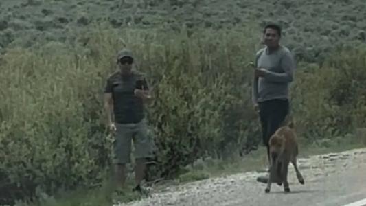 Caso aconteceu no estado do Wyoming