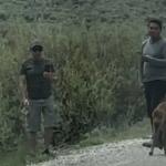 Autoridades dos Estados Unidos procuram homens que encostaram em bisão durante visita a parque