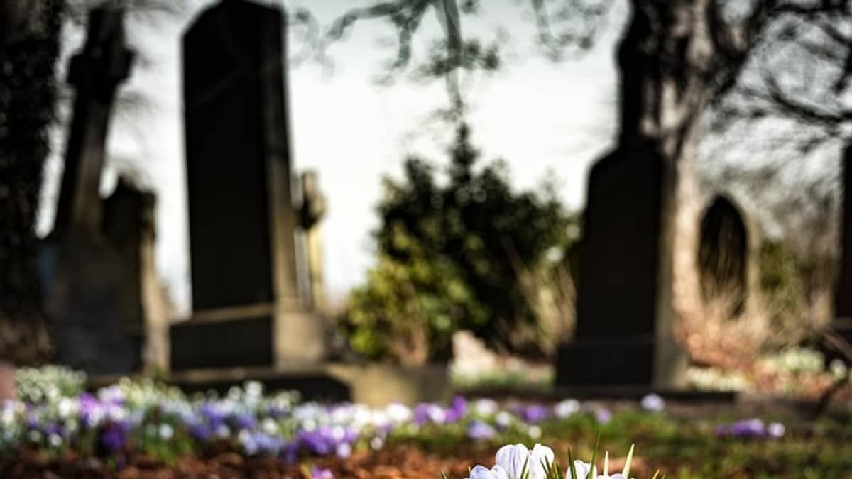 Mãe que foi visitar túmulo do filho e encontrou outra sepultura será indenizada  