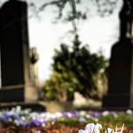 Mãe que foi visitar túmulo do filho e encontrou outra sepultura será indenizada