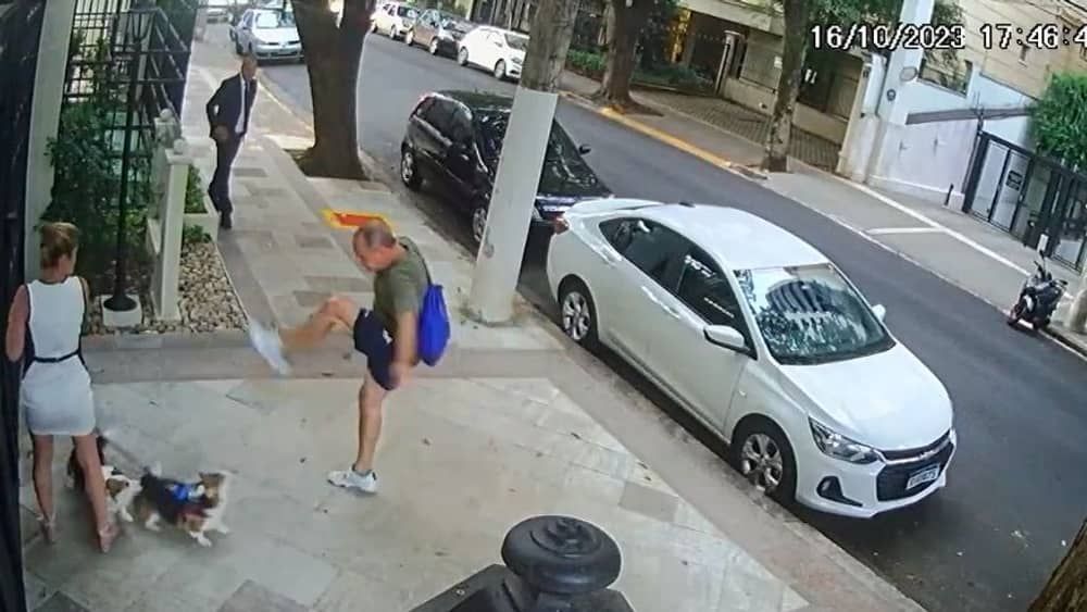 MP denuncia homem que agrediu irmã de Zanin e cachorros com chutes 