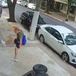 MP denuncia homem que agrediu irmã de Zanin e cachorros com chutes 