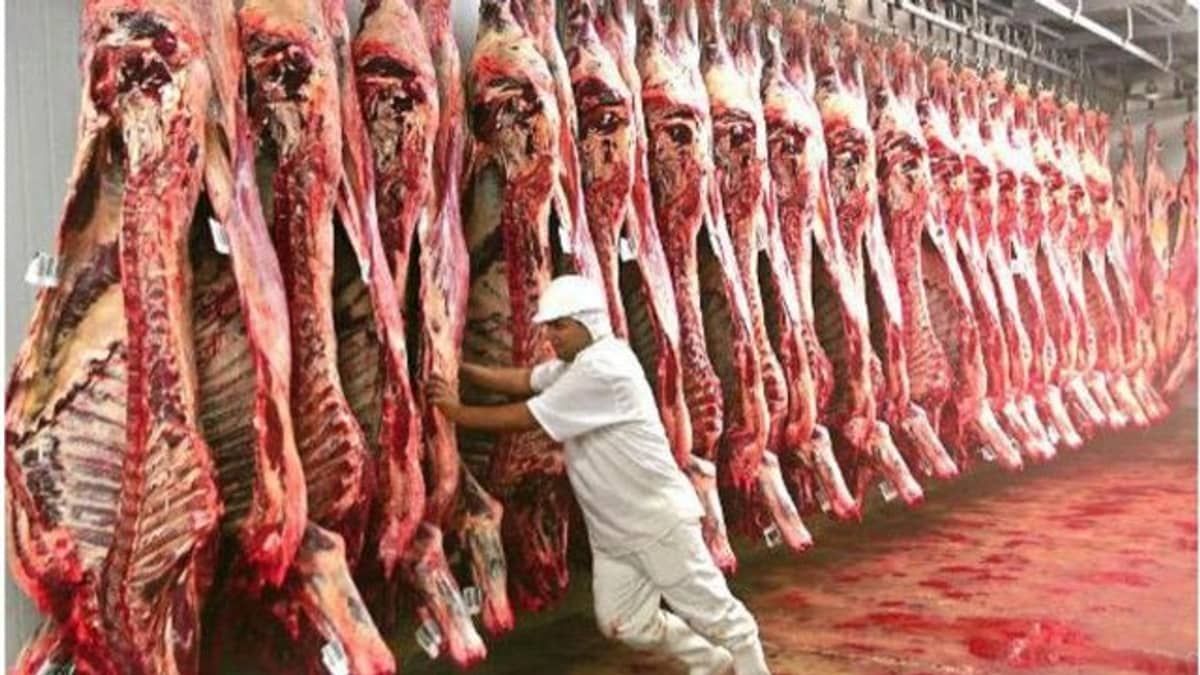 Frigoríficos brasileiros não param de exportar para a China