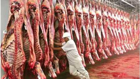 Caso de vaca louca no Pará pode afetar exportação de carne?