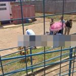 Morre criança baleada pelo próprio pai em escola no interior de Minas