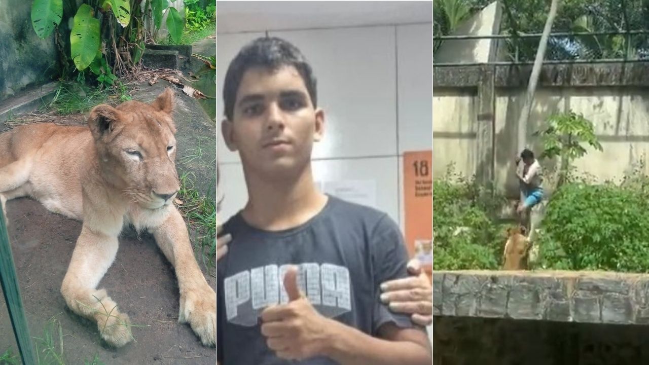 Caso 'Vaqueirinho': veja tudo o que se sabe sobre o jovem morto por leoa após invadir jaula