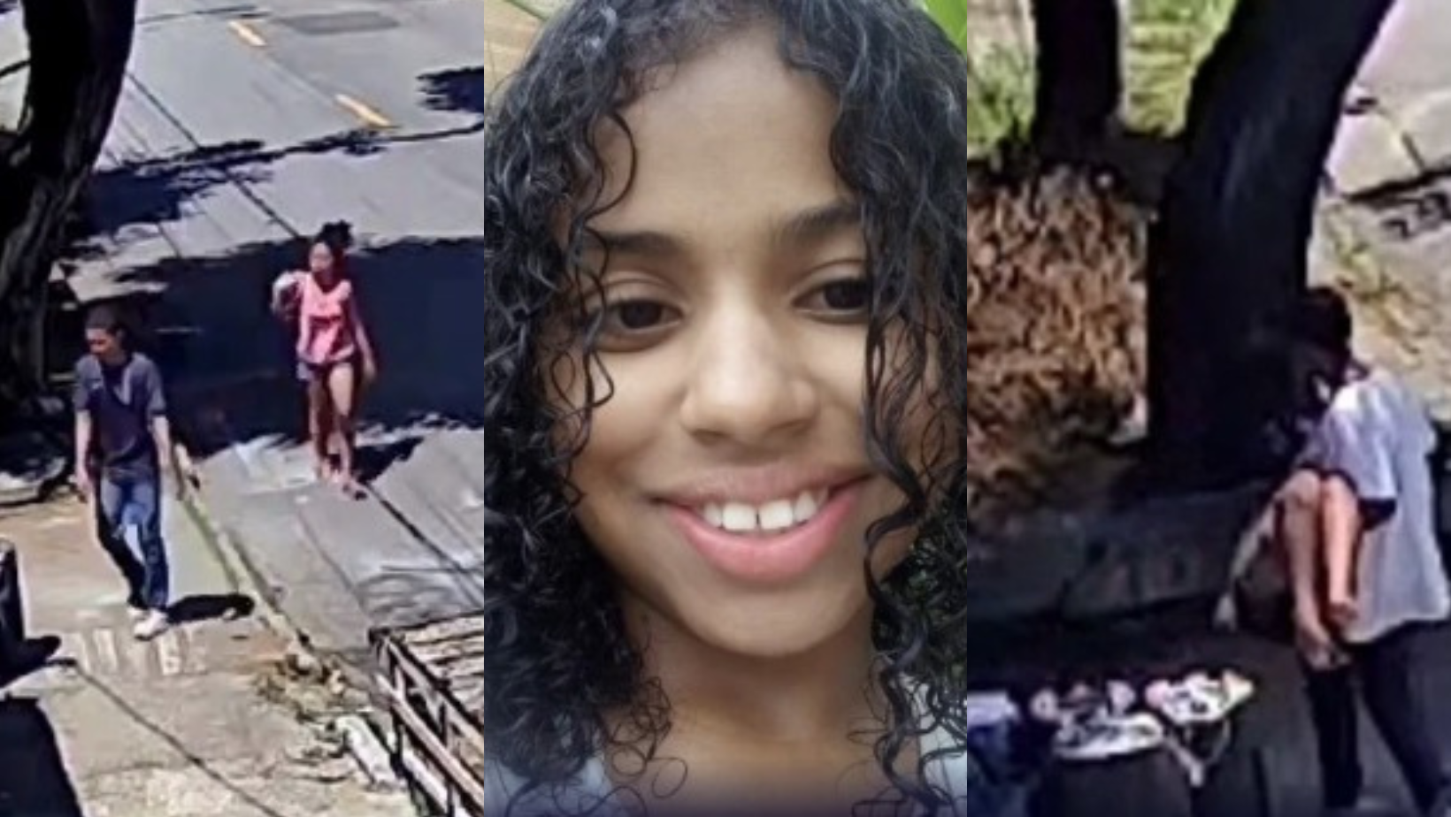Caso Ana Luiza: veja a cronologia do crime e próximos passos