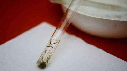Casos de dengue aumentaram cerca de 70% em Belo Horizonte desde o início de março