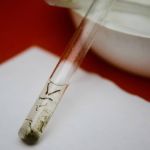 Casos de dengue crescem 70% em duas semanas em BH, e prefeitura amplia atendimento na rede pública