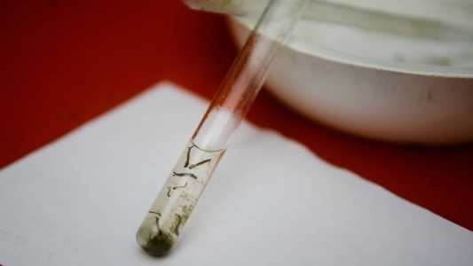 Casos de dengue aumentaram cerca de 70% em Belo Horizonte desde o início de março