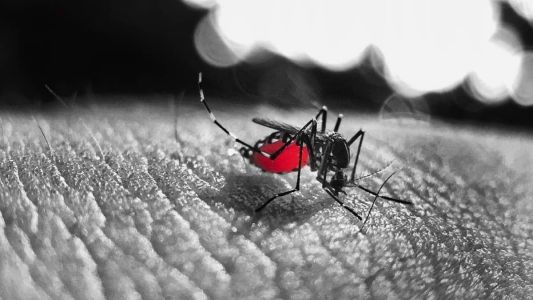 Casos de Dengue aumentaram na região dos Inconfidentes