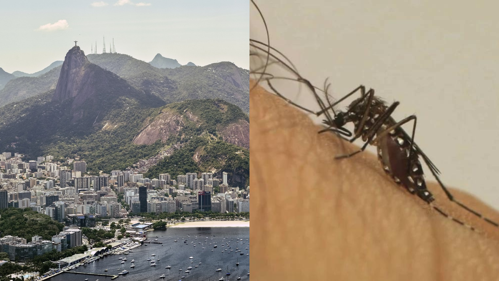 Rio de Janeiro vive epidemia de dengue e bate recorde de casos desde 1974