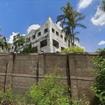 Castelo de José Rico não recebe lances em leilão