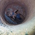 Cavalo que caiu em fossa de 4 metros de profundidade é resgatado em Minas Gerais