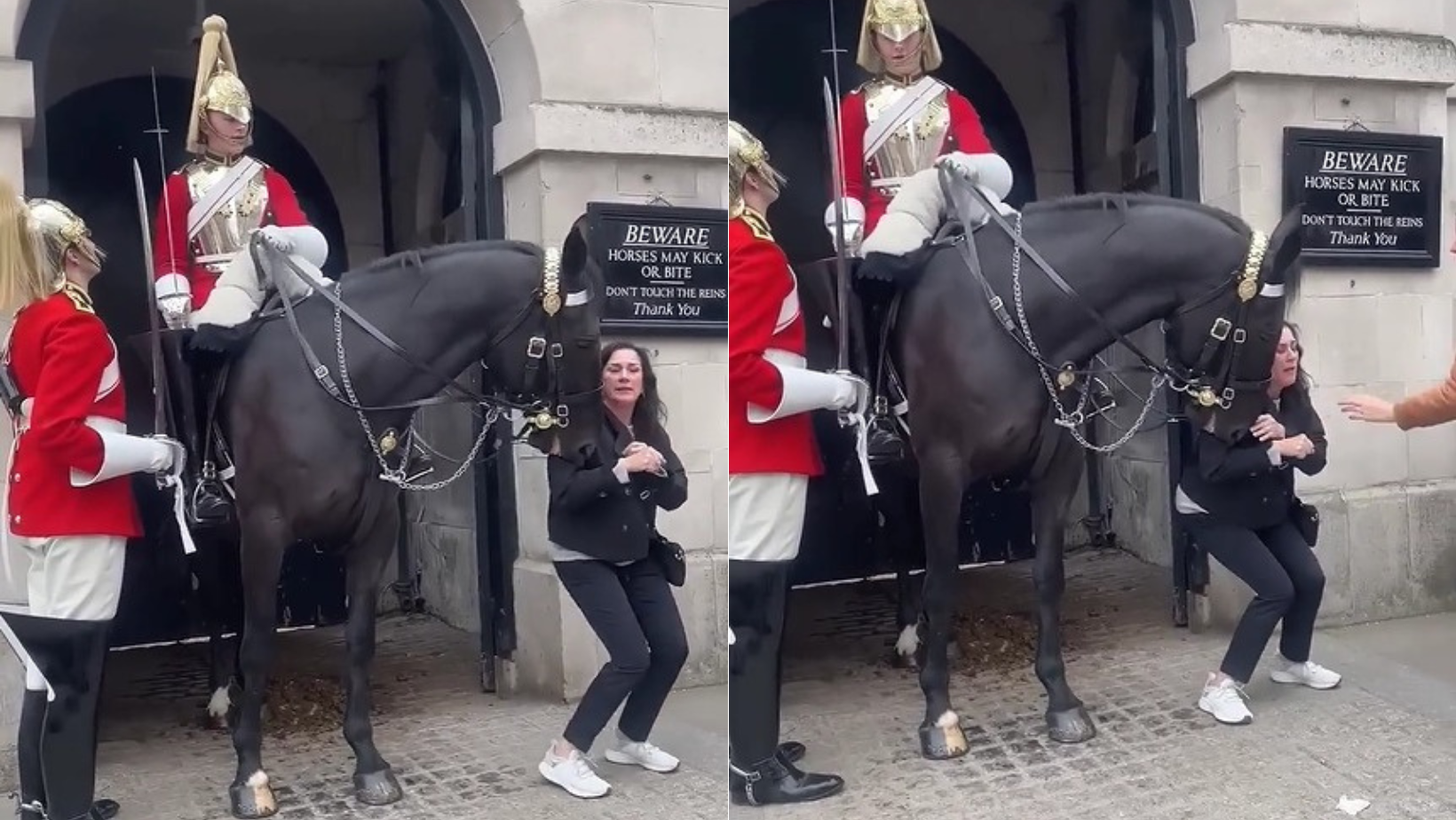 Cavalo da Guarda Real morde turista que se aproximou para tirar foto; veja vídeo