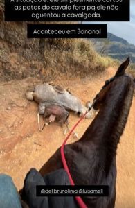 Cavalo foi morto em Bananal, no interior de São Paulo.