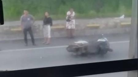 Cavalo provocou acidente entre carro e moto na MG-010 em Vespasiano