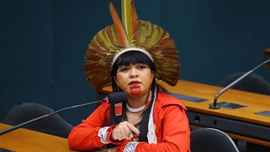 Célia Xakriabá é uma das deputadas citadas pelo PL em pedidos de punição