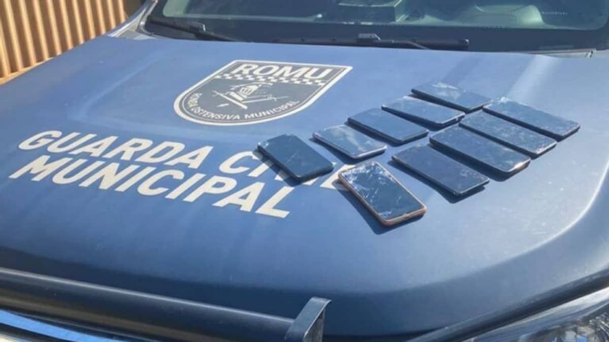 Ciclista encontra sacola com 10 celulares às margens da BR-356