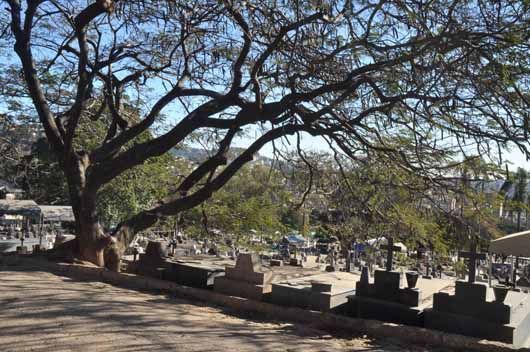Familiares voltam a denunciar túmulos quebrados e abandono em cemitério de BH: 'Descaso total'