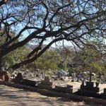 Familiares voltam a denunciar túmulos quebrados e abandono em cemitério de BH: 'Descaso total'
