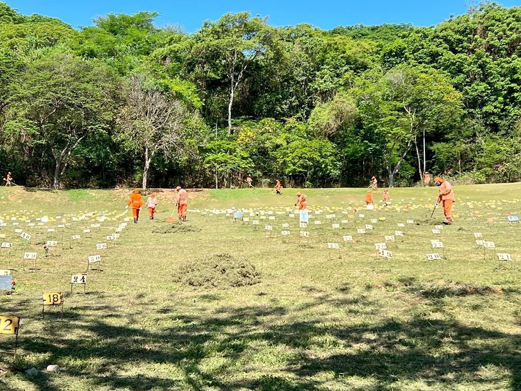Prefeitura de Ipatinga abre inscrição para aquisição de 59 novos jazigos perpétuos