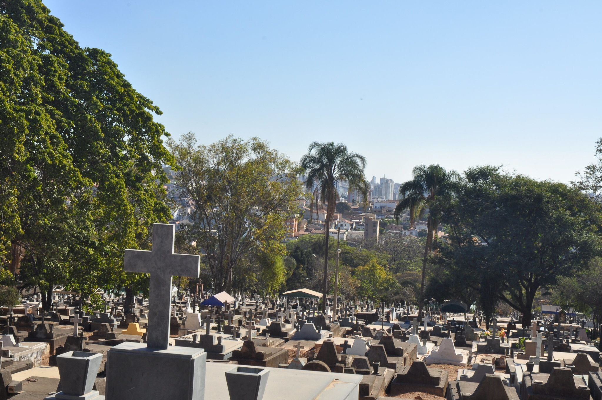 Denúncia de remoção irregular de ossada no cemitério da Saudade, em BH
