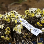 Tragédia: três mortos em soterramento são velados na Zona da Mata